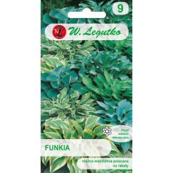 Funkia mieszanka 0.10g - Nasiona - W. Legutko