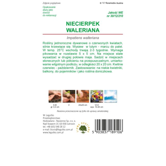 Niecierpek Waleriana - czerwony F2 - Nasiona - W. Legutko