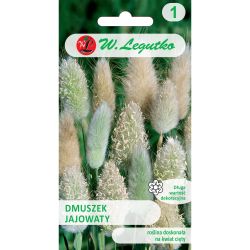 Dmuszek jajowaty słomkowy 0.20g - Nasiona - W. Legutko Dmuszek jajowaty słomkowy 0.20g - Nasiona - W. Legutko