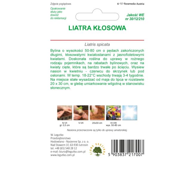 Liatra - kłosowa - różowo - fioletowa - Nasiona - W. Legutko