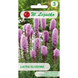 Liatra kłosowa różowo-fioletowa 0.20g - Nasiona - W. Legutko