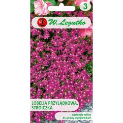 Lobelia przylądkowa, Stroiczka karminowo-czerwona 0.10g - Nasiona - W. Legutko