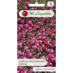 Lobelia przylądkowa zwisła karminowo-czerwona 0.10g - Nasiona - W. Legutko