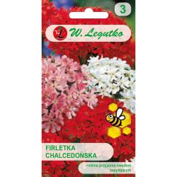 Firletka chalcedońska mieszanka 0.20g - Nasiona - W. Legutko