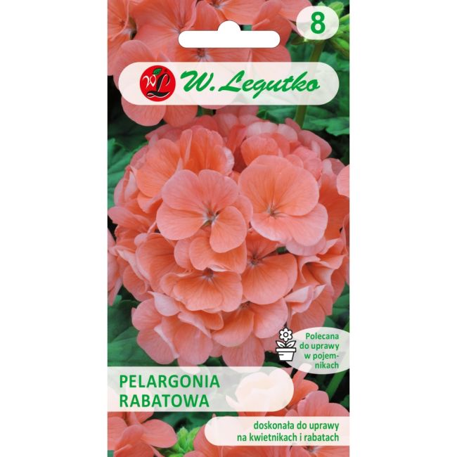 Pelargonia - rabatowa Gama F1 - łososiowa - Nasiona kwiatów doniczkowych - W. Legutko