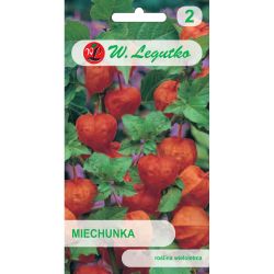 Miechunka rozdęta pomarańczowa 0.30g - Nasiona - W. Legutko Miechunka rozdęta pomarańczowa 0.30g - Nasiona - W. Legutko