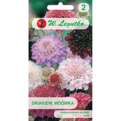 Driakiew, Wdówka mieszanka 0.50g - Nasiona - W. Legutko Driakiew, Wdówka mieszanka 0.50g - Nasiona - W. Legutko