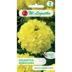Aksamitka wzniesiona cytrynowożółta 1g - Nasiona - W. Legutko Aksamitka wzniesiona cytrynowożółta 1g - Nasiona - W. Legutko