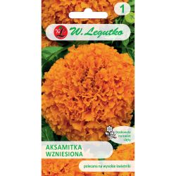 Aksamitka wzniesiona pomarańczowa 1g - Nasiona - W. Legutko Aksamitka wzniesiona pomarańczowa 1g - Nasiona - W. Legutko