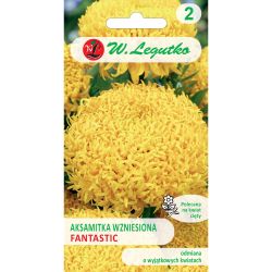 Aksamitka wzniesiona Fantastic żółta 0.30g - Nasiona - W. Legutko Aksamitka wzniesiona Fantastic żółta 0.30g - Nasiona - W. Legutko