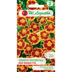 Aksamitka rozpierzchła Red Marietta mahoniowo-czerwono-pomarańczowa 1g - Nasiona - W. Legutko Aksamitka rozpierzchła Red Marietta mahoniowo-czerwono-pomarańczowa 1g - Nasiona - W. Legutko