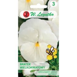 Bratek Firnenschnee białokremowy 0.50g - Nasiona - W. Legutko Bratek Firnenschnee białokremowy 0.50g - Nasiona - W. Legutko