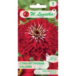 Cynia wytworna Scarlet Flame daliowa czerwona 1g - Nasiona - W. Legutko Cynia wytworna Scarlet Flame daliowa czerwona 1g - Nasiona - W. Legutko