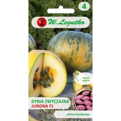 Dynia zwyczajna Junona 3g - Nasiona - W. Legutko