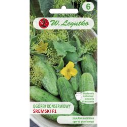 Ogórek Śremski F1 3g - Nasiona - W. Legutko