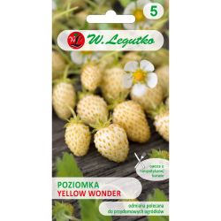 Poziomka Yellow Wonder 0.10g - Nasiona - W. Legutko Poziomka Yellow Wonder 0.10g - Nasiona - W. Legutko