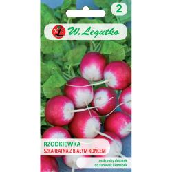 Rzodkiewka Szkarłatna z białym końcem 5g - Nasiona - W. Legutko