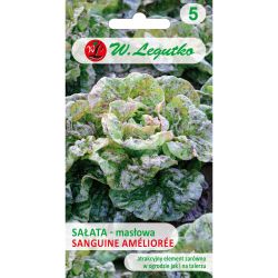 Sałata Sanguine améliorée 1g - Nasiona - W. Legutko