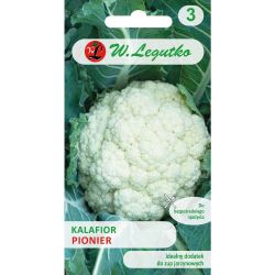 Kalafior Pionier 1g - Nasiona - W. Legutko
