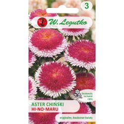 Aster chiński Hi-no-Maru czerwony z białym 0.30g - Nasiona - W. Legutko Aster chiński Hi-no-Maru czerwony z białym 0.30g - Nasiona - W. Legutko