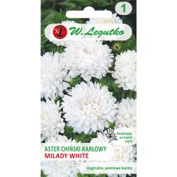 Aster chiński Milady White biały 1g - Nasiona - W. Legutko Aster chiński Milady White biały 1g - Nasiona - W. Legutko