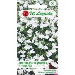 Lobelia przylądkowa, Stroiczka biała 0.10g - Nasiona - W. Legutko