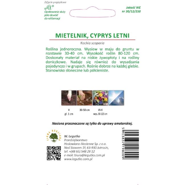 Mietelnik, Cyprys letni - zielony - Nasiona - W. Legutko