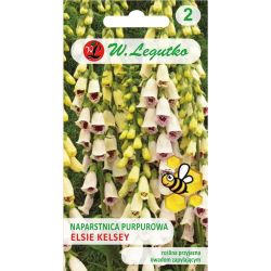 Naparstnica purpurowa Elsie Kelsey biała 0.10g - Nasiona - W. Legutko Naparstnica purpurowa Elsie Kelsey biała 0.10g - Nasiona - W. Legutko