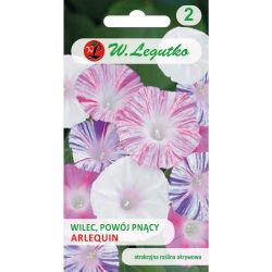 Wilec, Powój pnący Arlequin mieszanka pstra 1g - Nasiona - W. Legutko Wilec, Powój pnący Arlequin mieszanka pstra 1g - Nasiona - W. Legutko