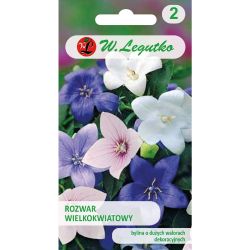 Rozwar wielkokwiatowy mieszanka 0.10g - Nasiona - W. Legutko