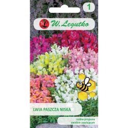 Lwia paszcza mieszanka 0.50g - Nasiona - W. Legutko Lwia paszcza mieszanka 0.50g - Nasiona - W. Legutko