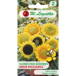 Słonecznik Amor mieszanka 3g - Nasiona - W. Legutko