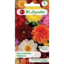 Dalia zmienna Unwins mieszanka 1g - Nasiona - W. Legutko Dalia zmienna Unwins mieszanka 1g - Nasiona - W. Legutko