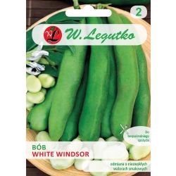 Bób White Windsor 50g - Nasiona - W. Legutko