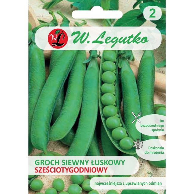 Groch siewny łuskowy - Sześciotygodniowy - Nasiona - W. Legutko