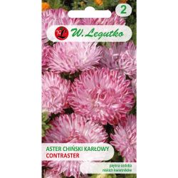 Aster chiński Contraster biało-różowy 0.50g - Nasiona - W. Legutko Aster chiński Contraster biało-różowy 0.50g - Nasiona - W. Legutko