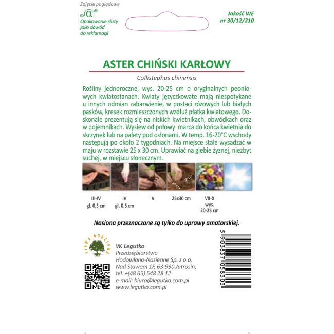 Aster - chiński karłowy - Contraster - ciemnoniebieski - Nasiona - W. Legutko