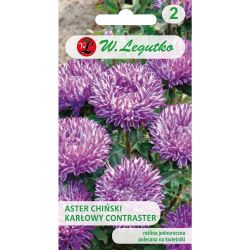 Aster chiński Contraster biało-niebieski 0.50g - Nasiona - W. Legutko Aster chiński Contraster biało-niebieski 0.50g - Nasiona - W. Legutko