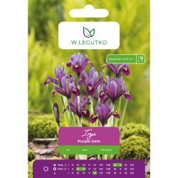 Irys Purple Gem purpurowy 7szt. - Cebule i Kłącza - W. Legutko Irys Purple Gem purpurowy 7szt. - Cebule i Kłącza - W. Legutko