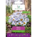 Krokus Blue Pearl niebieski 7szt. - Cebule i Kłącza - W. Legutko