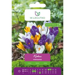 Krokus Chrysanthus mieszanka 7szt. - Cebule i Kłącza - W. Legutko Krokus Chrysanthus mieszanka 7szt. - Cebule i Kłącza - W. Legutko