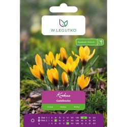 Krokus Goldilocks ciemnożółty 7szt. - Cebule i Kłącza - W. Legutko Krokus Goldilocks ciemnożółty 7szt. - Cebule i Kłącza - W. Legutko