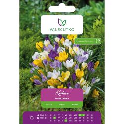 Krokus Vernus mieszanka 7szt. - Cebule i Kłącza - W. Legutko Krokus Vernus mieszanka 7szt. - Cebule i Kłącza - W. Legutko