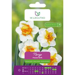 Narcyz Flower Drift biały z pomarańczowym śr. 4szt. - Cebule i Kłącza - W. Legutko