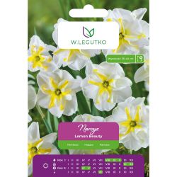 Narcyz Lemon Beauty biały z żółtym przykoron. 3szt. - Cebule i Kłącza - W. Legutko Narcyz Lemon Beauty biały z żółtym przykoron. 3szt. - Cebule i Kłącza - W. Legutko