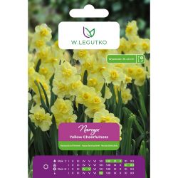 Narcyz Yellow Cheerfulness żółty 4szt. - Cebule i Kłącza - W. Legutko Narcyz Yellow Cheerfulness żółty 4szt. - Cebule i Kłącza - W. Legutko