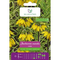 Szachownica cesarska Lutea żółta 1szt. - Cebule i Kłącza - W. Legutko Szachownica cesarska Lutea żółta 1szt. - Cebule i Kłącza - W. Legutko