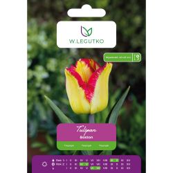 Tulipan Boston czerwono-żółty 5szt. - Cebule i Kłącza - W. Legutko Tulipan Boston czerwono-żółty 5szt. - Cebule i Kłącza - W. Legutko
