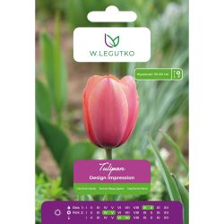 Tulipan Design Impression różowy 5szt. - Cebule i Kłącza - W. Legutko Tulipan Design Impression różowy 5szt. - Cebule i Kłącza - W. Legutko