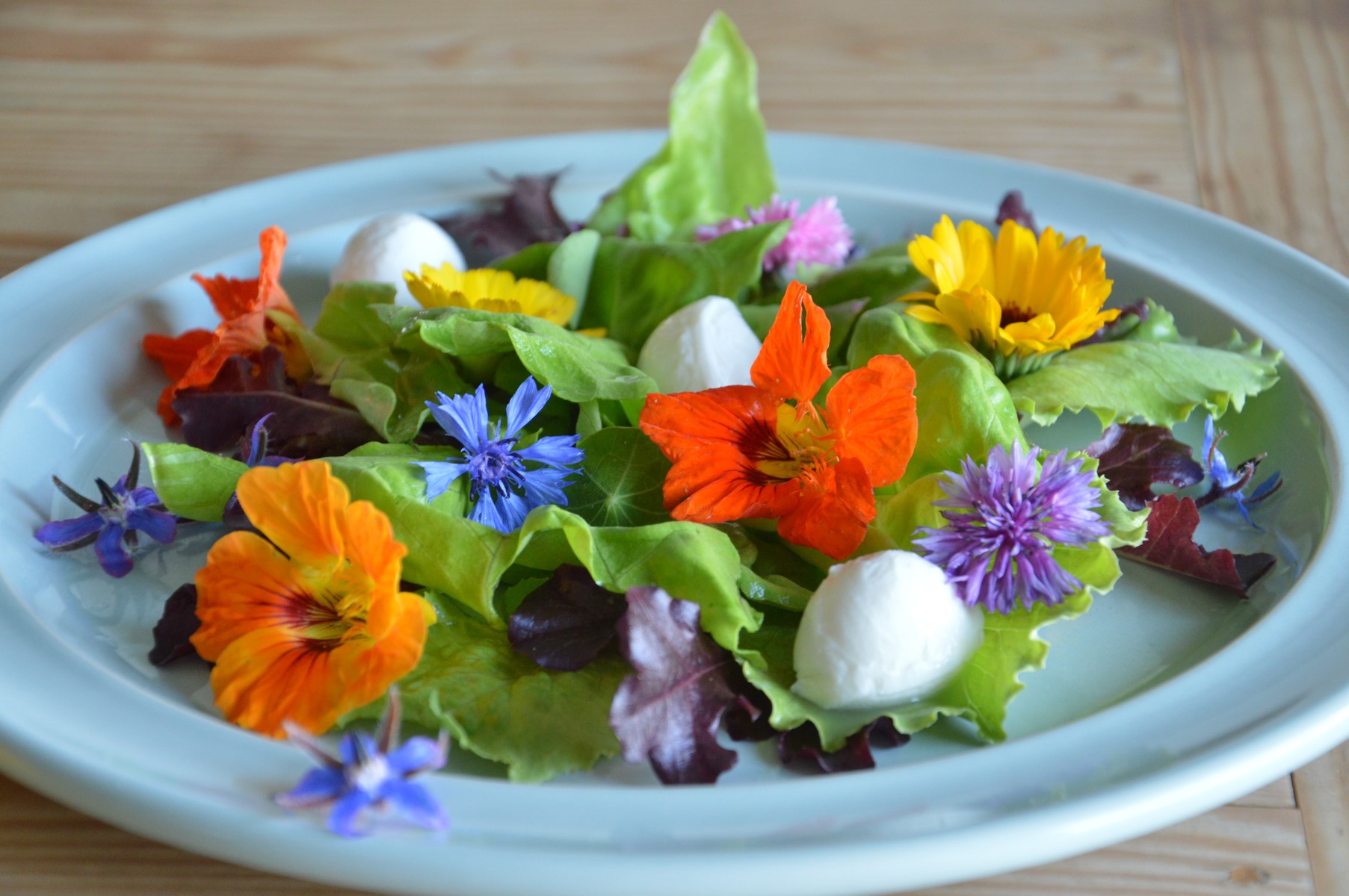 nasturcja w sałatce a serem, warzywami